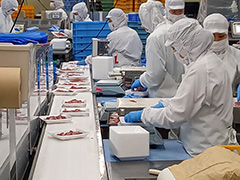 工場内イメージ